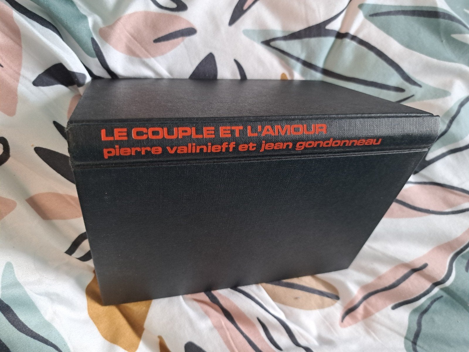 le couplé et l amour pierre valinieff livre erotique, Enlèvement