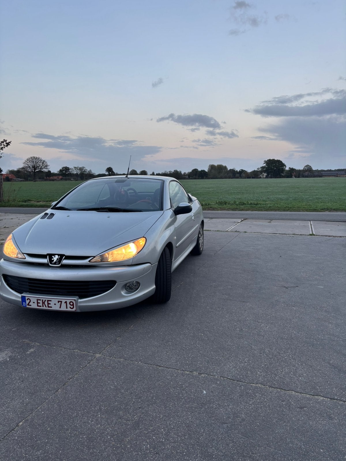 Peugeot 206 cc 2.0, Auto's, Voorwielaandrijving, Cabriolet, Leder, Overige kleuren