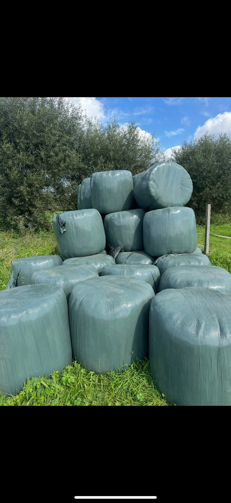 Midibalen te koop, Ophalen