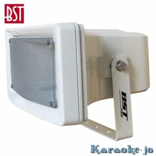 BST AP3640 Sound Projector 100 Volt 40 Watt, Audio, Tv en Foto, Ophalen of Verzenden, Nieuw, Overige typen