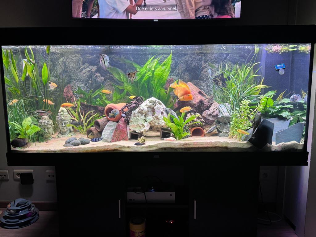 Juwel rio 450 tekoop, Enlèvement, Comme neuf, Filter, JBL