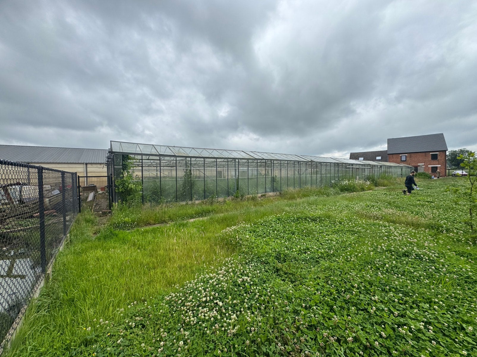 Serre 12m x 50m, Animaux & Accessoires, Box & Pâturages