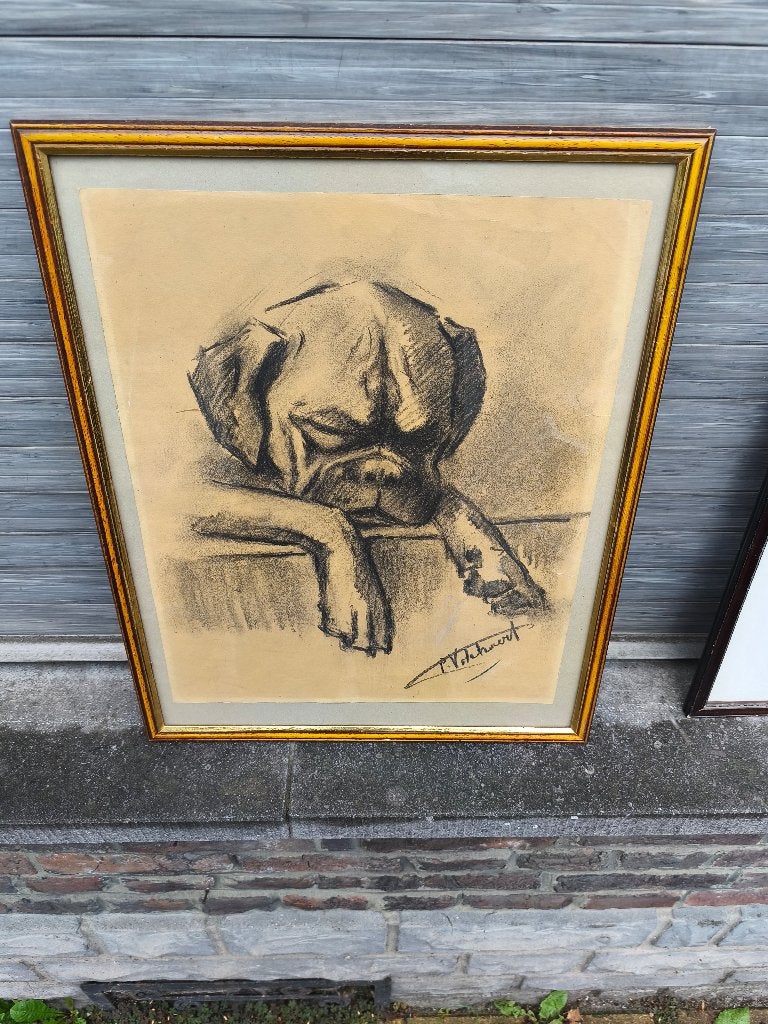 Fusain chien signe Piet volckaert, Enlèvement ou Envoi
