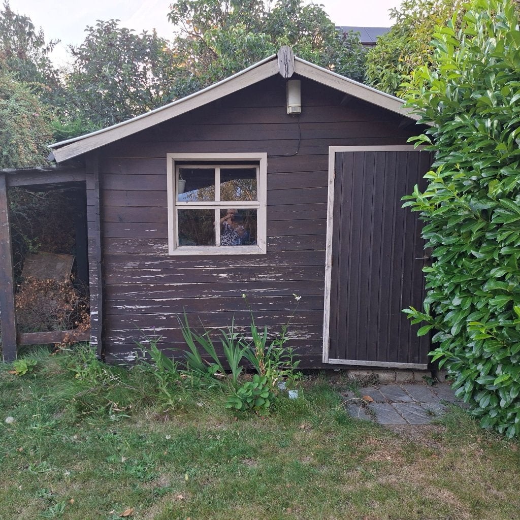 Abri de jardin Gratuit A venir démonter, Jardin & Terrasse, 200 à 400 cm, 250 à 300 cm, Enlèvement, Utilisé
