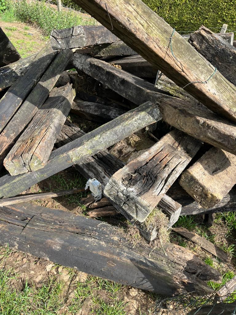 Treinbilzen, Poteaux, Bois dur, Enlèvement, Utilisé