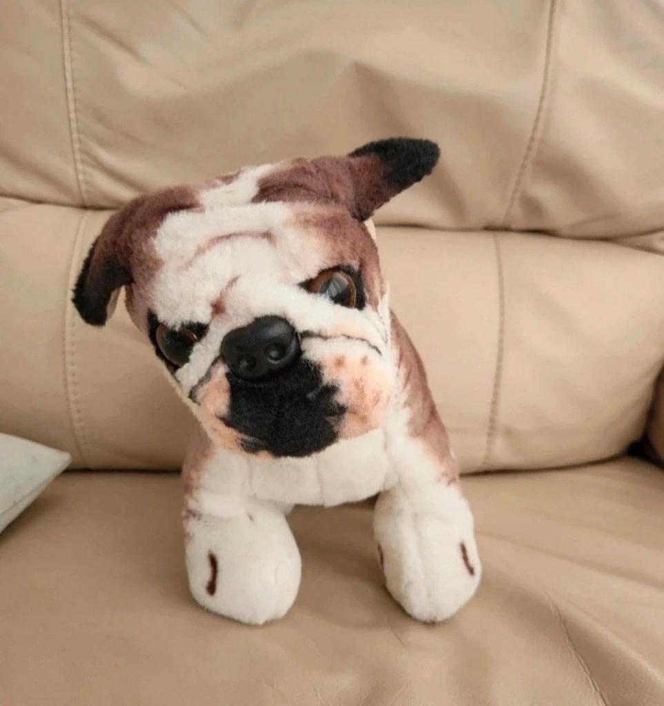 Peluche Bouledogue, Enlèvement ou Envoi, Chien