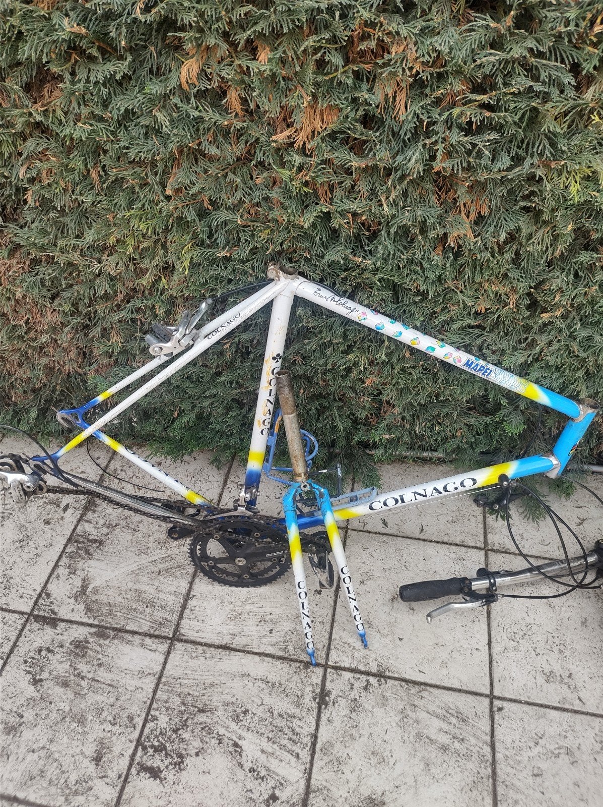 Colnago met mapei kleuren, Fietsen en Brommers, Ophalen