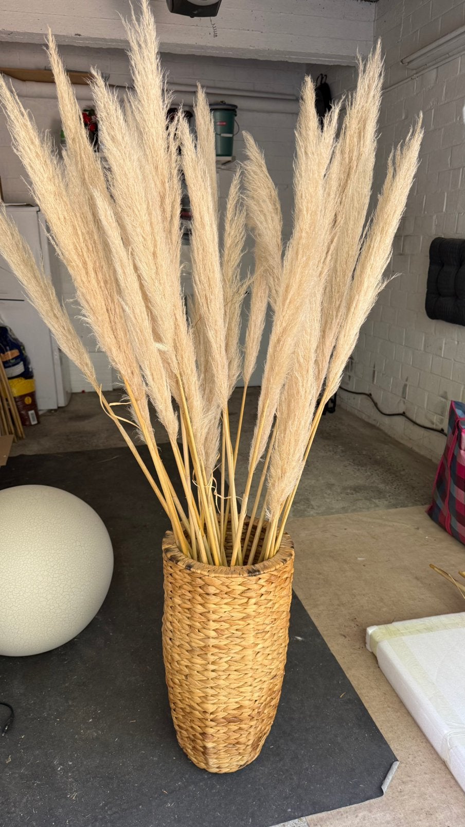 Hoge rotan vaas met pampas, Ophalen, Zo goed als nieuw