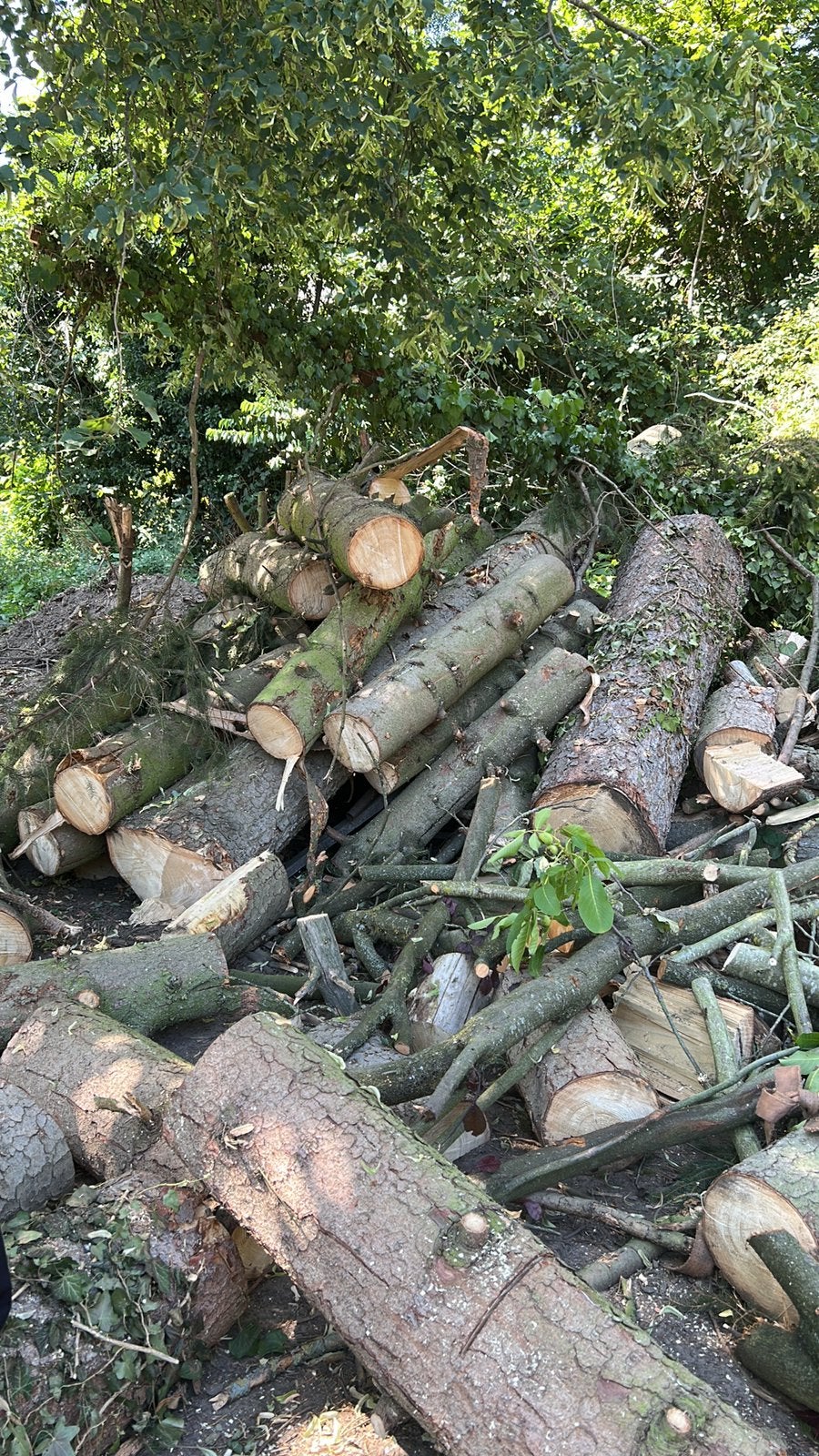 Brandhout, Enlèvement, Bûches