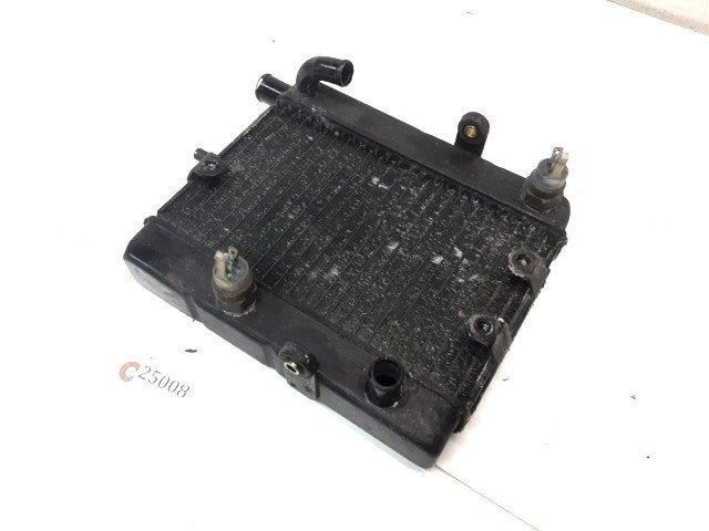 YP250 Majesty 1997 - 1999 Yamaha Radiator D1-57062, Motoren