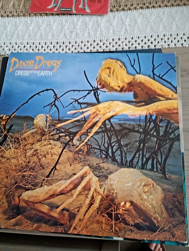 Dixie Dregs - Dregs of the earth, CD & DVD, Enlèvement ou Envoi, Utilisé, Hard rock, LP