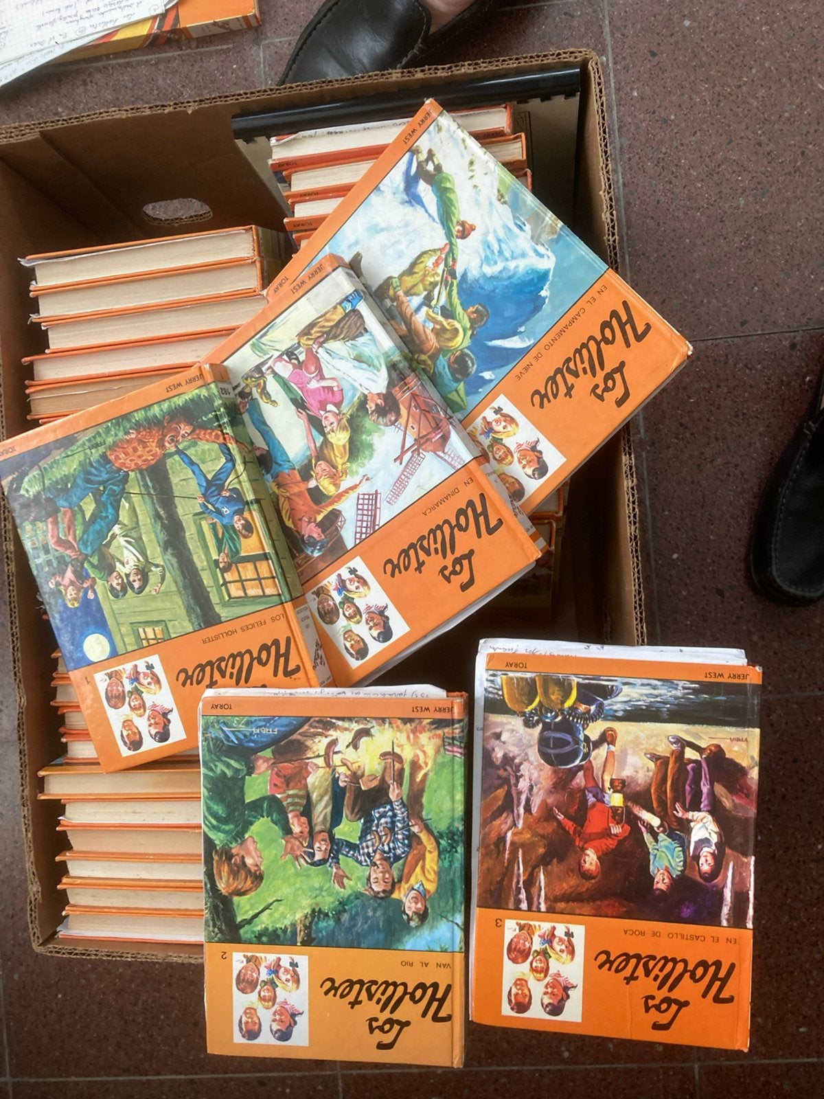 Reeks van 33 spaanse jeugdboeken “LOS HOLLISTER” gebruikt, Ophalen