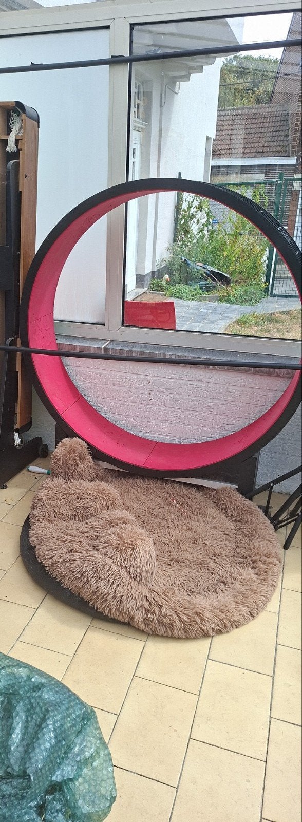 grande roue pour chats, Enlèvement, Utilisé
