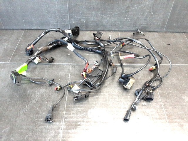 900SS 1998 - 2002 Ducati Kabelboom Kabelboom hoofd D1-61383, Motoren