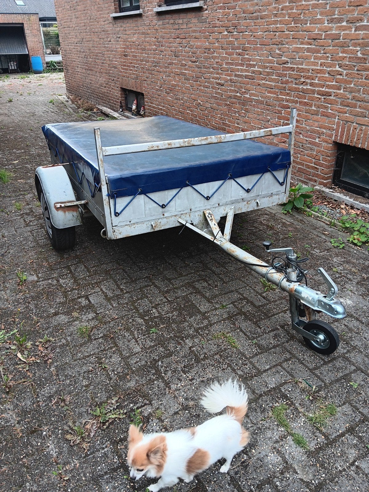 remork met waterdichte bache, prijs 550€, Ophalen, Zo goed als nieuw