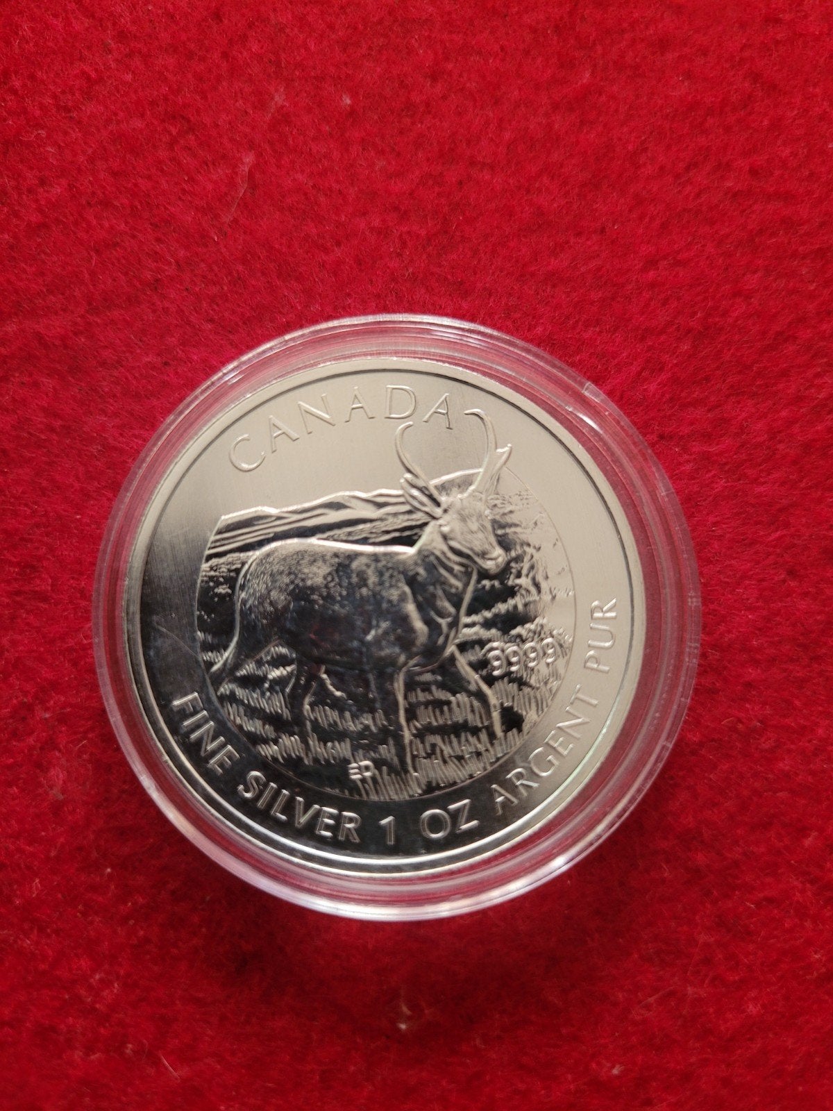1oz zilveren 999 Canadian Wildlife antilope, Ophalen of Verzenden, Zilver