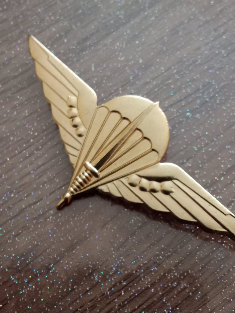 Un signe de béret para commando belge en bronze, Collections, Envoi