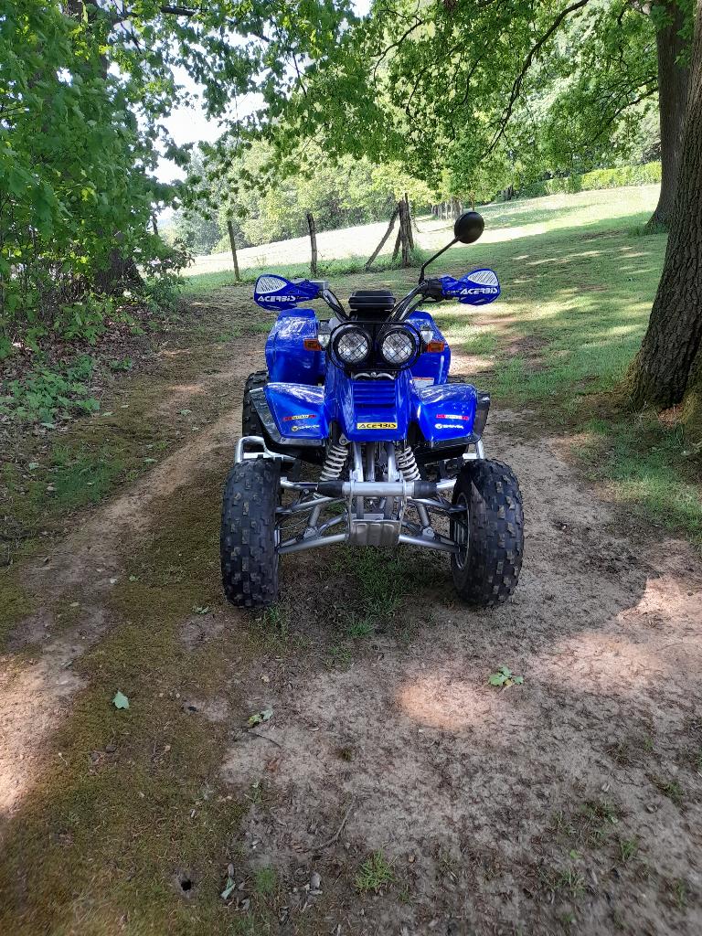 Quad Yamaha Warrior 350cc avec pneus Paper Set inclus, 350 cm³, 12 à 35 kW, 1 cylindre
