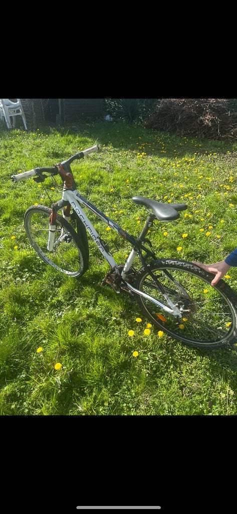 fiets lochristi, Ophalen, Zo goed als nieuw, Overige merken