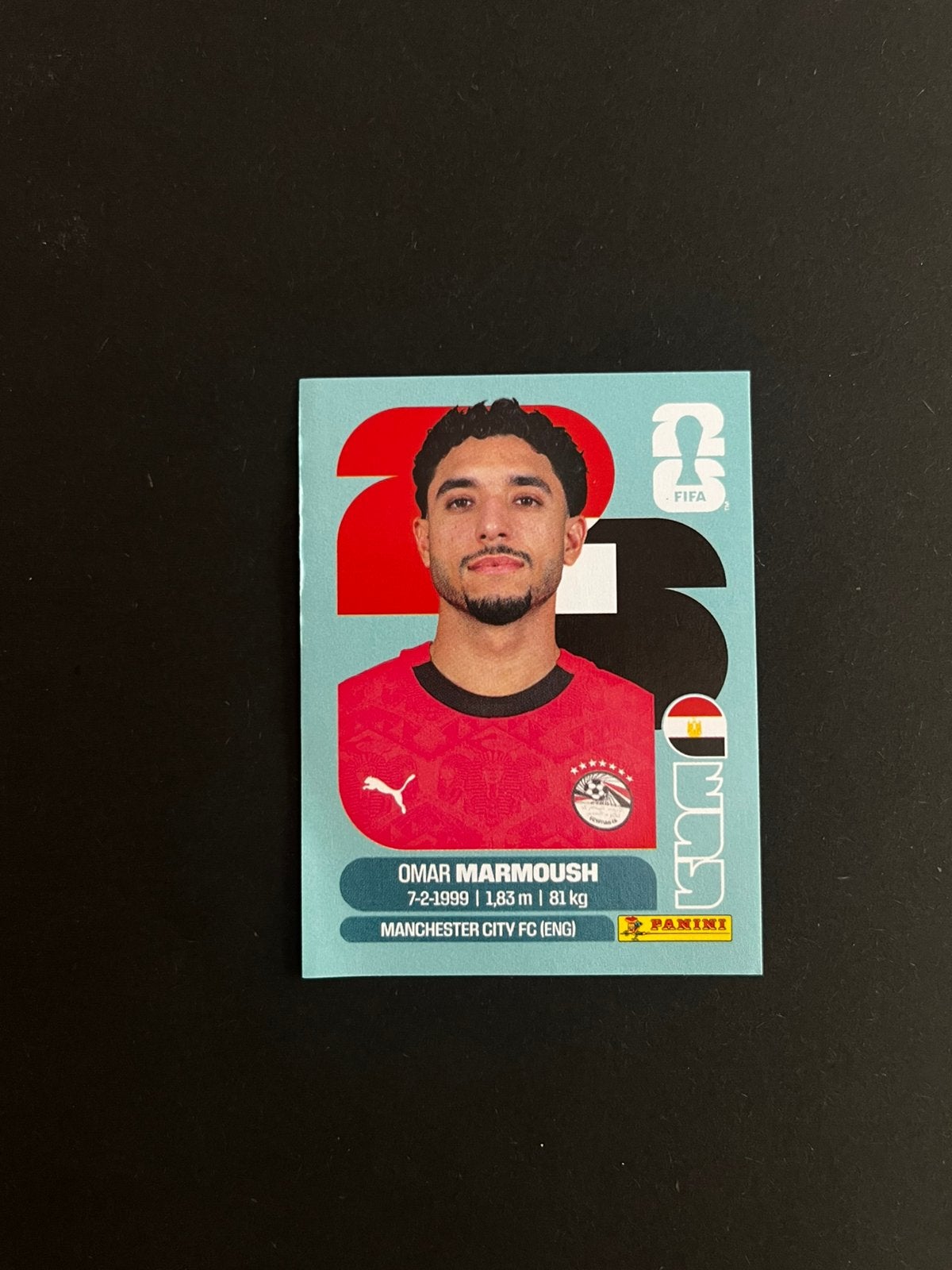 WK stickers ruile of kopen, Ophalen of Verzenden, Zo goed als nieuw