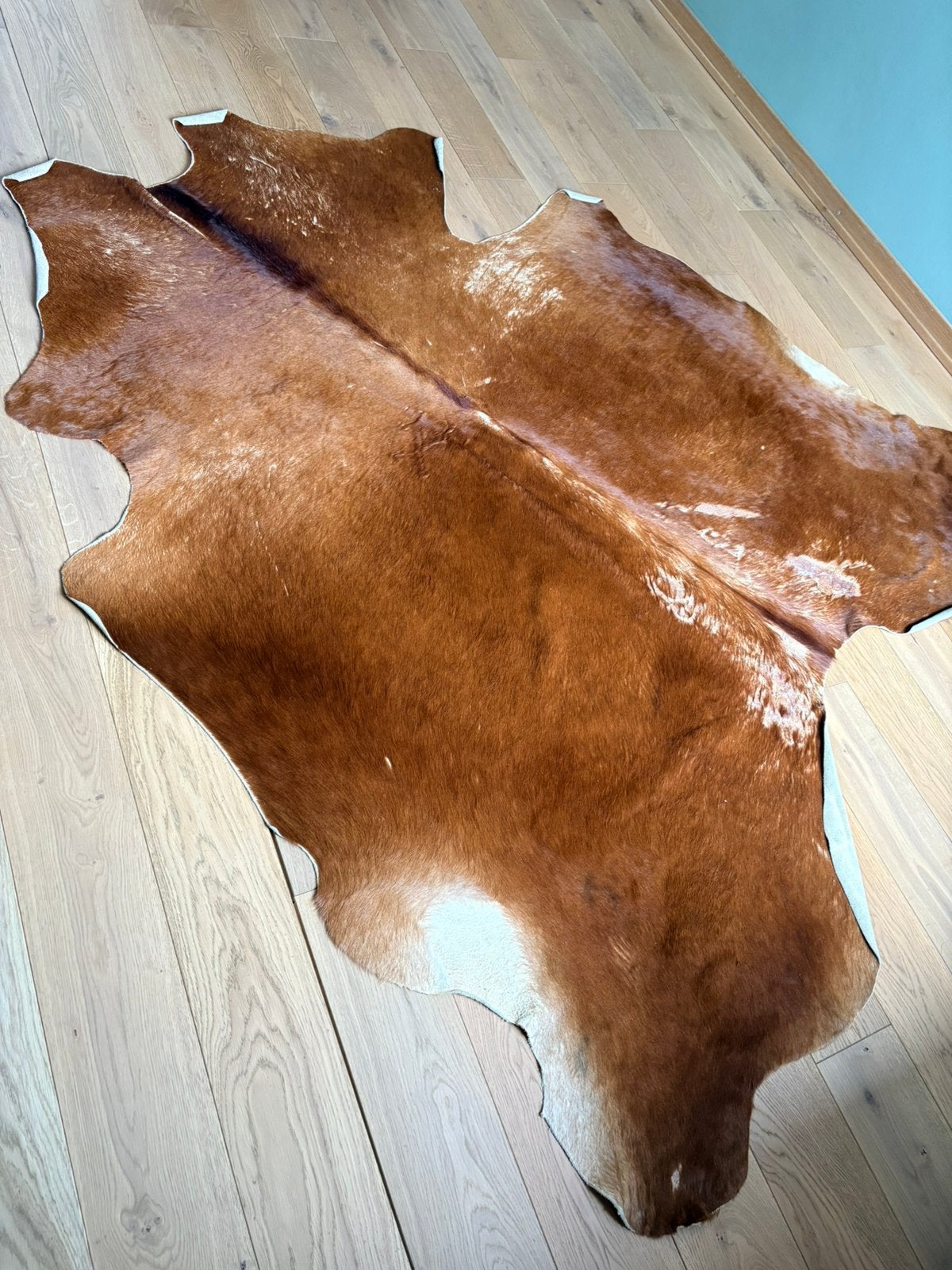 Peau de vache naturelle, Maison & Meubles, Ameublement | Tapis & Moquettes, Enlèvement, Comme neuf