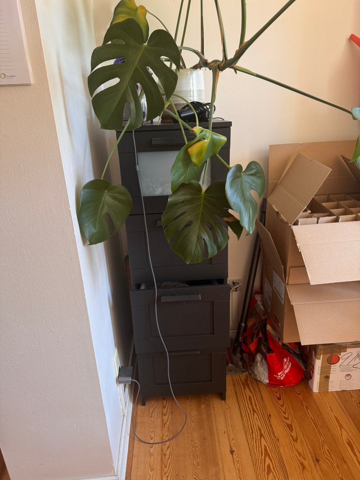 IKEA-plank, Ophalen, Gebruikt