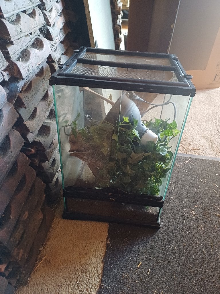 Terrarium, Enlèvement, Utilisé