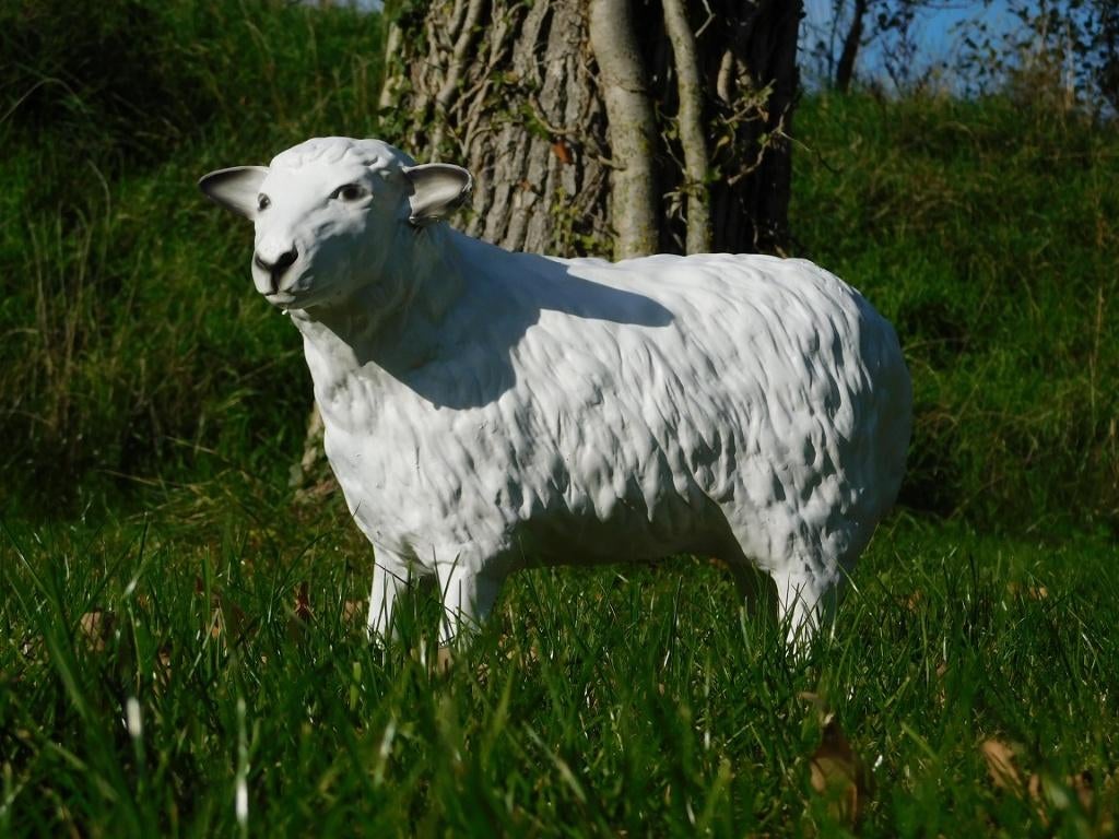Beeld Schaap - 45 cm - Polystone, Ophalen of Verzenden