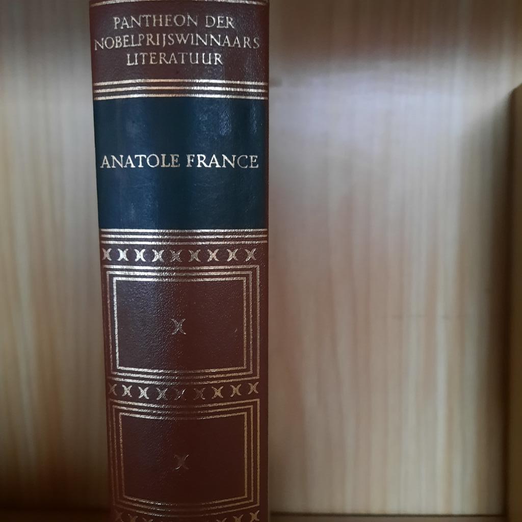 ANATOLE FRANCE - PANTHEON DER NOBELPRIJSWINNAARS LITERATUUR, Livres, Enlèvement ou Envoi