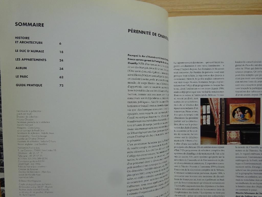 Chateau de Chantilly, guide, 1994, Ophalen of Verzenden, Zo goed als nieuw, Schilder- en Tekenkunst
