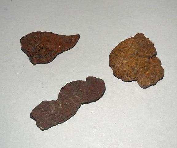 3 x Coproliet - 27gram totaal - 27,31 en 38mm lang, Ophalen of Verzenden, Fossiel