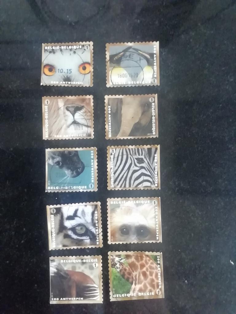 Postzegels België gestempeld Zoo Antwerpen, Collections, Enlèvement ou Envoi