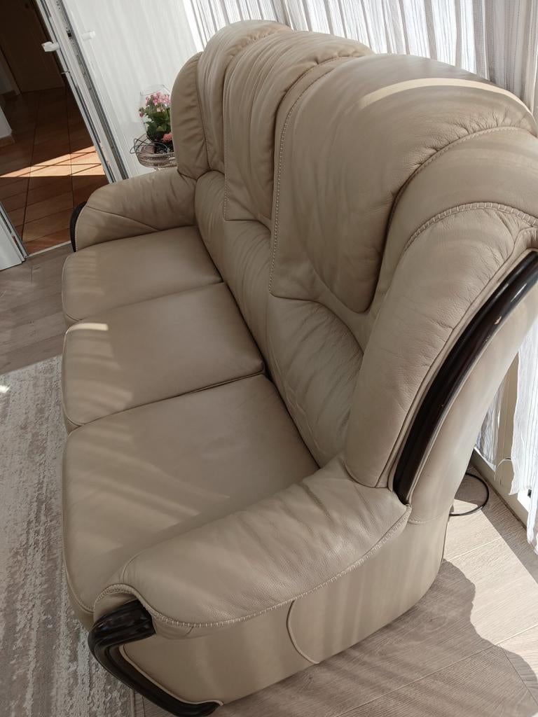 Salon cuir, Enlèvement, Cuir