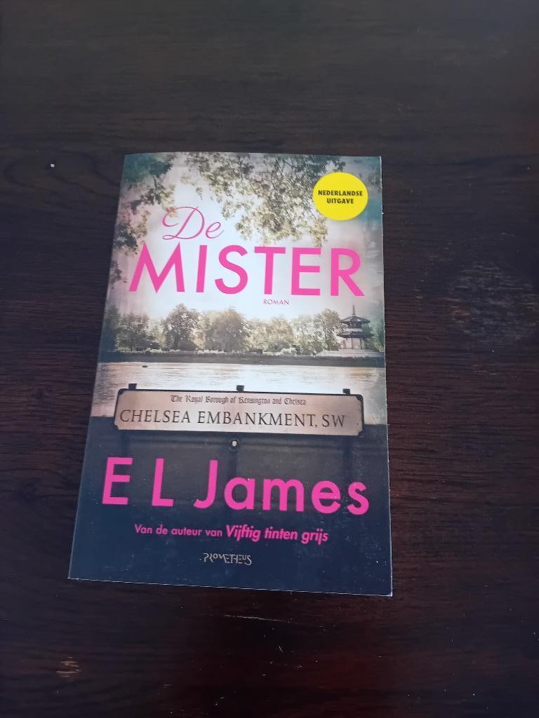 roman leesboek, E.L. James, Ophalen of Verzenden, Zo goed als nieuw, Amerika