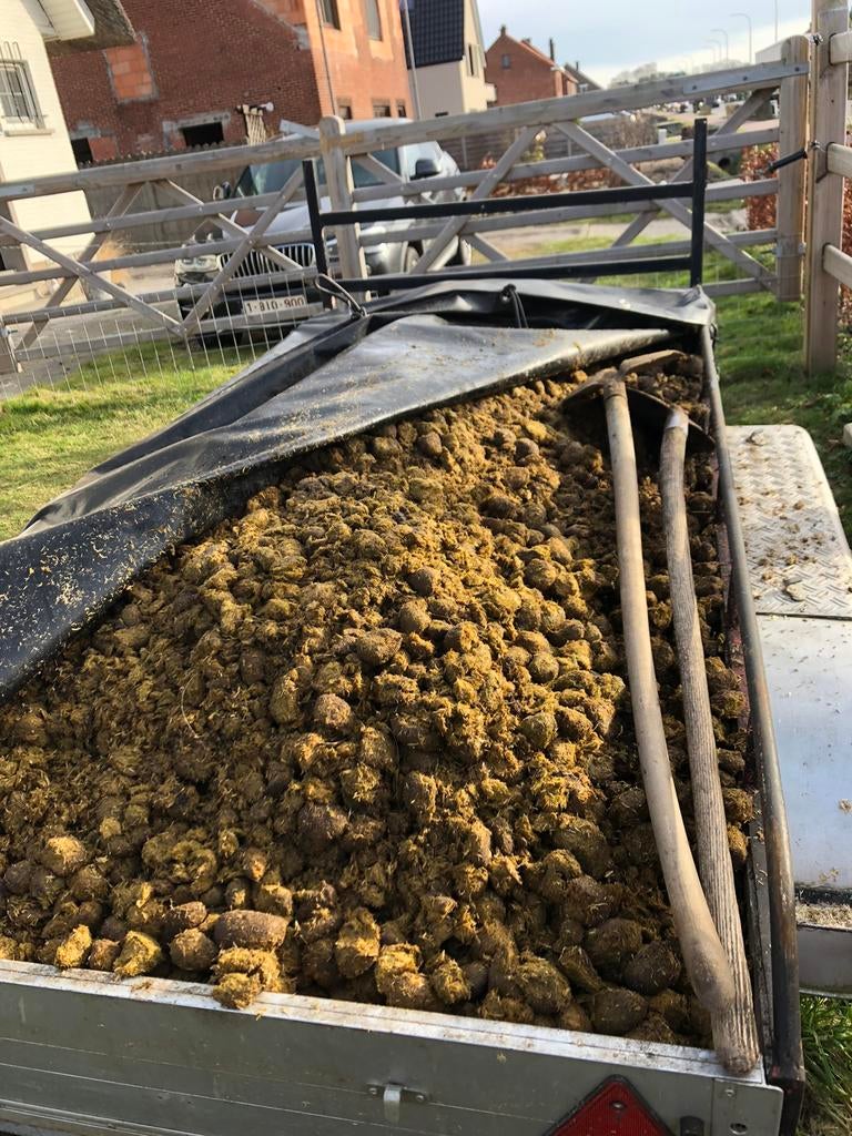 Gratis zuivere paardenmest ( aarschot ), Tuin en Terras, Aarde en Mest, Ophalen of Verzenden