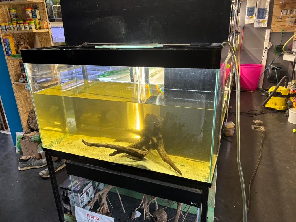 Aquarium ciano, Dieren en Toebehoren, Vissen | Aquaria en Toebehoren, Ophalen
