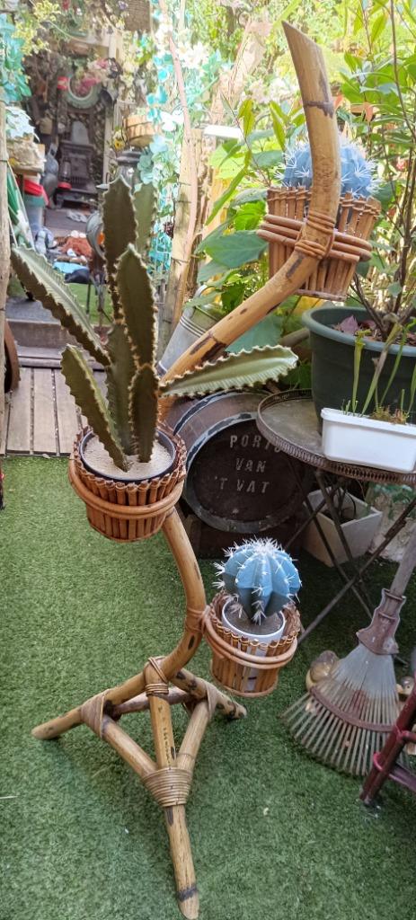 Rotan plantenstaander te koop., Antiek en Kunst, Ophalen