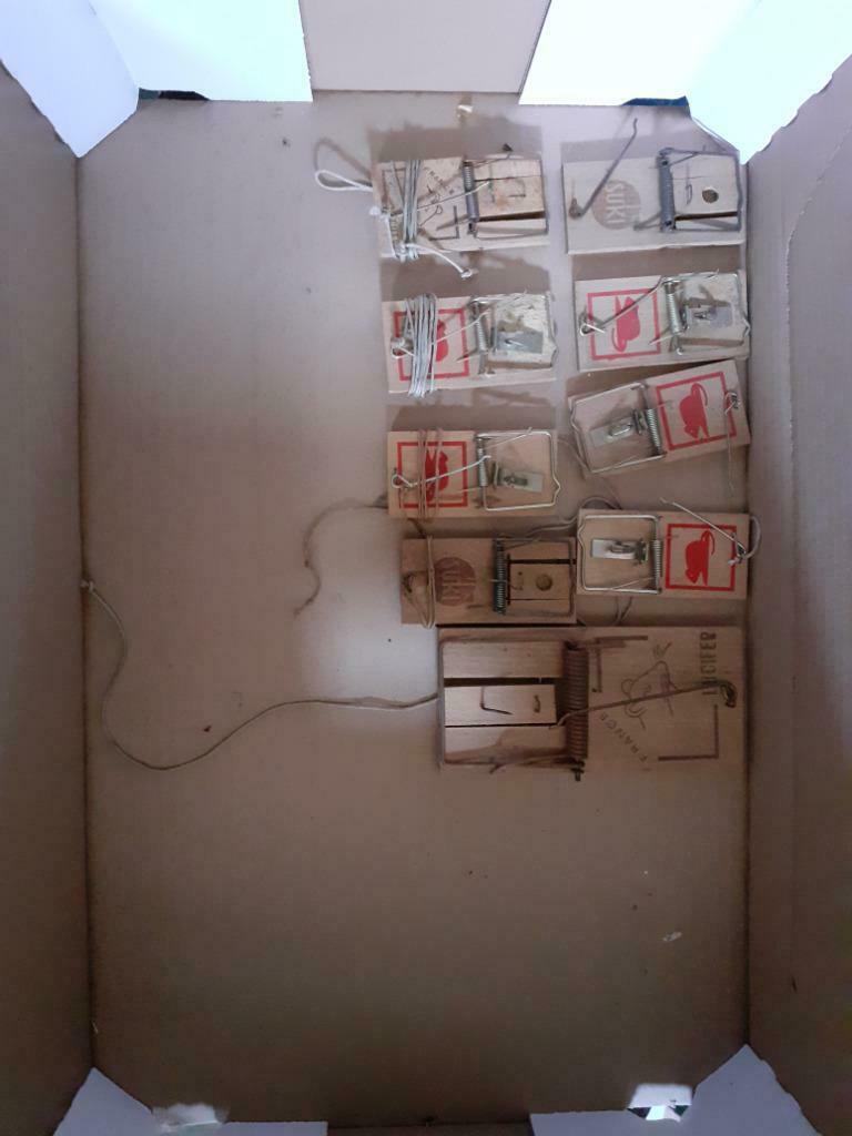 A vendre Piège  à souris et rats, Animaux & Accessoires, Envoi, Neuf
