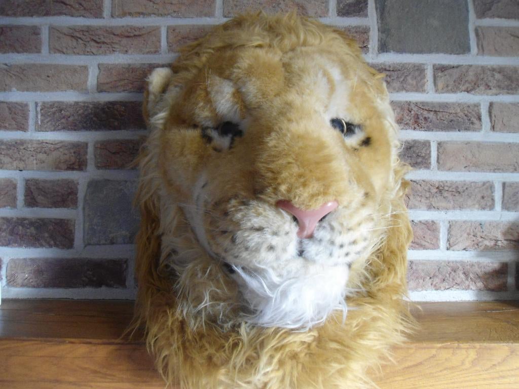Grande Tête de Lion ( 60 CM ) Bon état., Enlèvement ou Envoi, Utilisé, Autres types, Autres marques