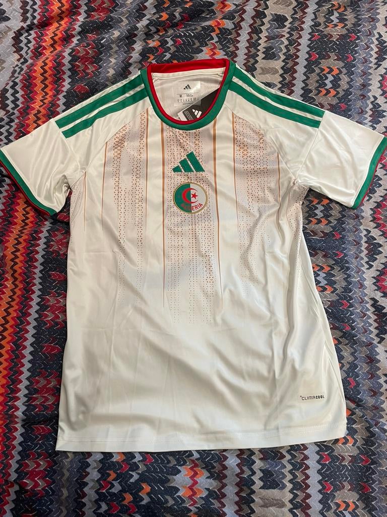Maillot Algerie 2026, Maat M, Ophalen of Verzenden, Zo goed als nieuw, Shirt