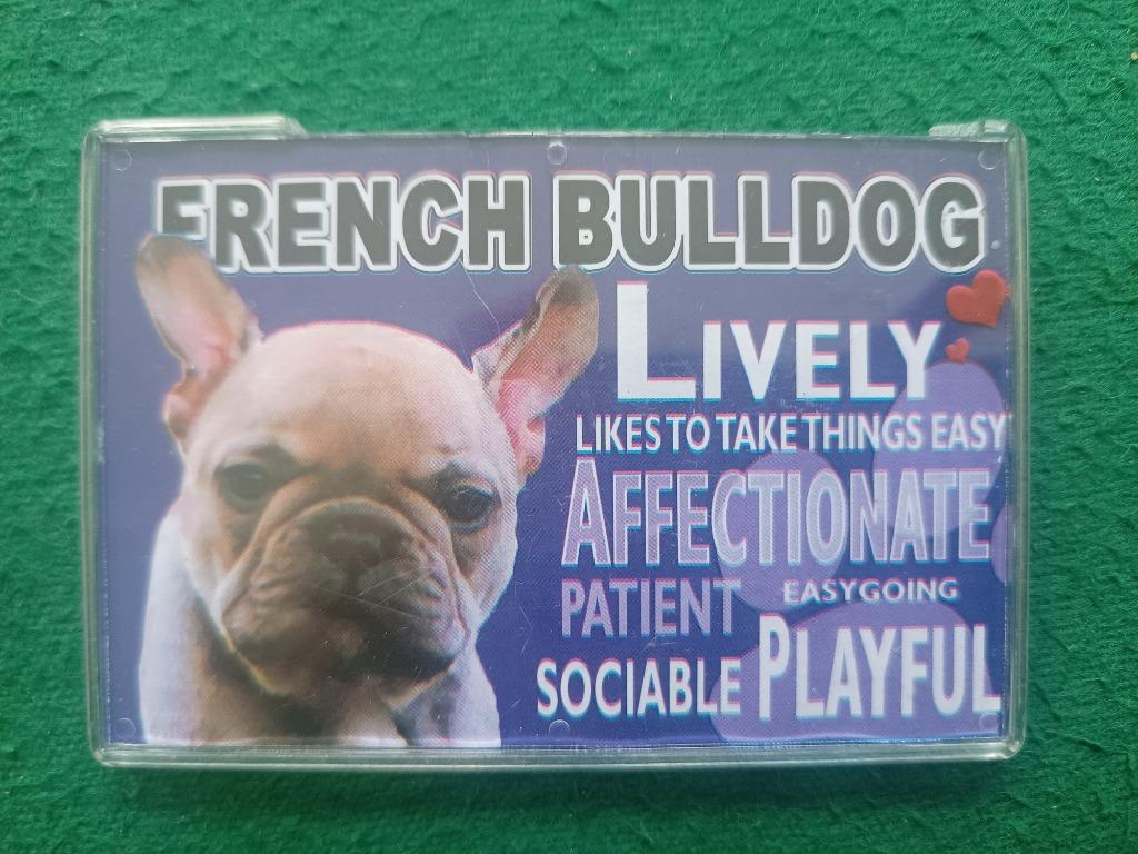 Aimant pour réfrigérateur French Bulldog, Envoi, Neuf