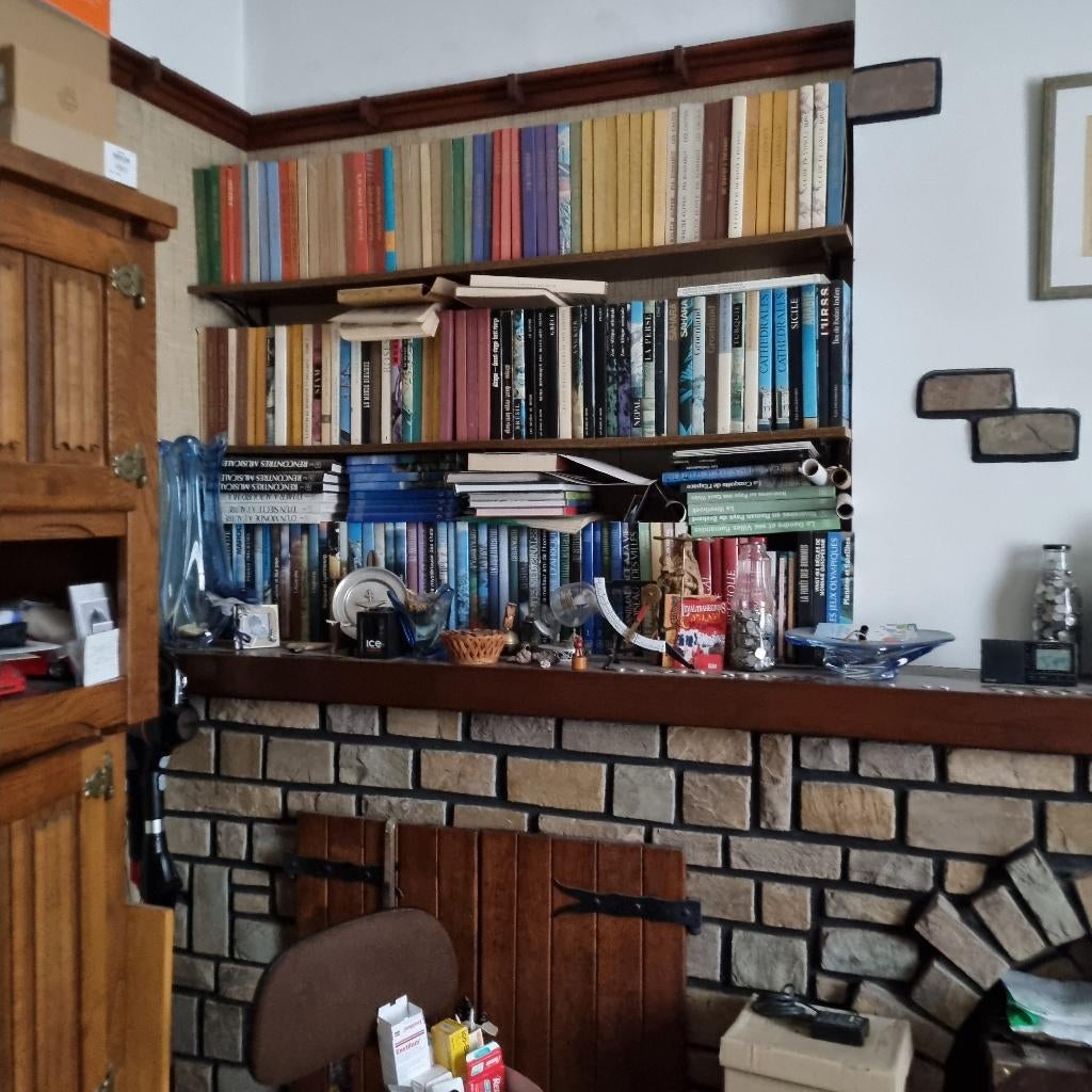 Collection complète des livres ARTIS., Antiek en Kunst, Antiek | Boeken en Manuscripten, Ophalen