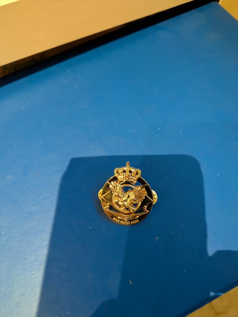 80 UAV Squadron mutskenteken, Enlèvement ou Envoi, Armée de terre, Emblème ou Badge