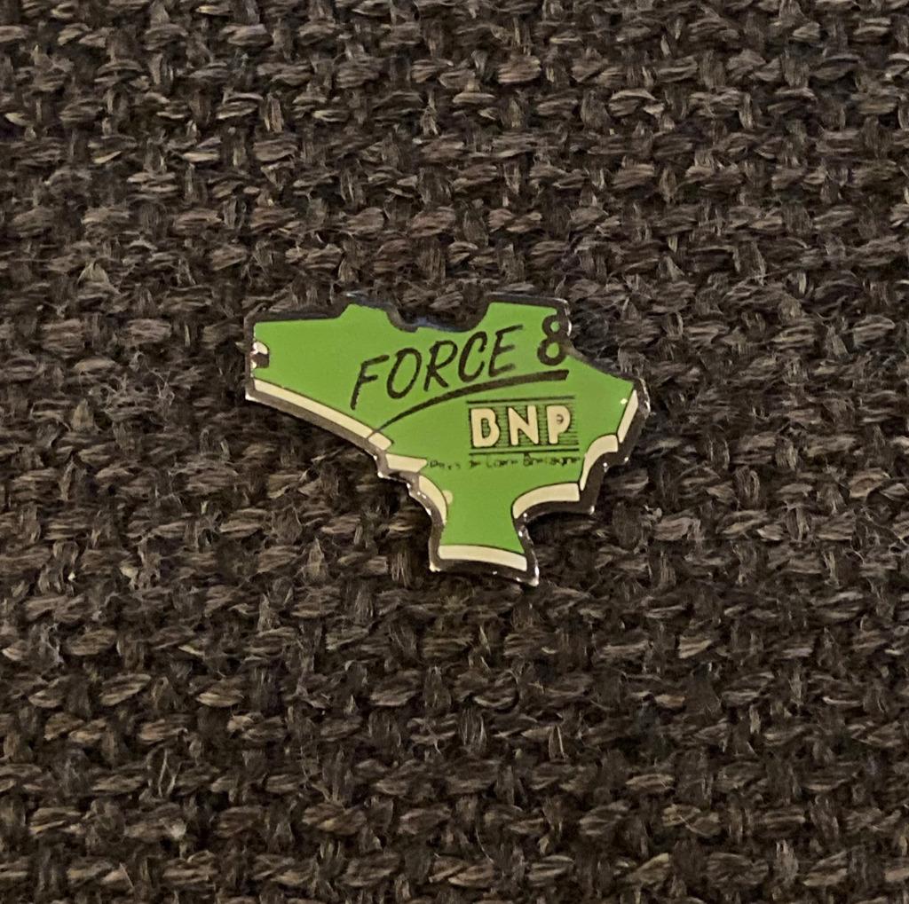 PIN - BNP -  FORCE 8 - PARIBAS FORTIS - BANK - BANQUE, Envoi, Utilisé, Autres sujets/thèmes, Insigne ou Pin's