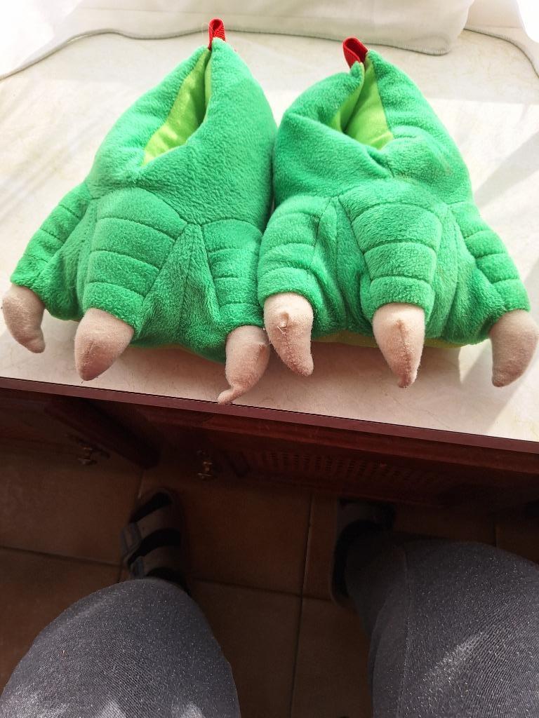 Pantoffel, Enlèvement, Utilisé