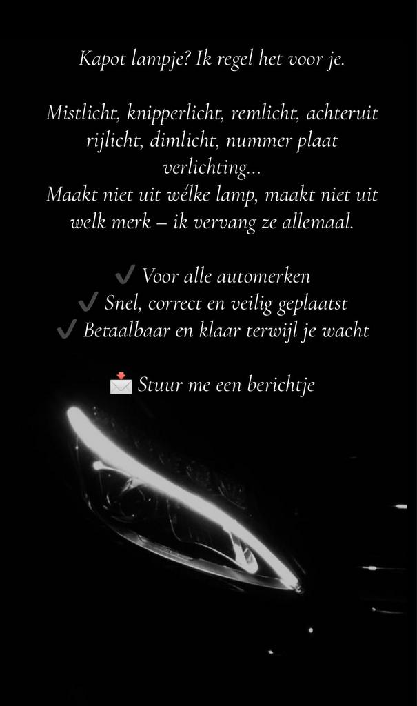 Lampen vervangen auto alle merken, Ophalen
