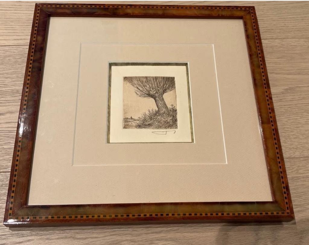 Gravure Vlaams zicht met knotwilg, Ophalen of Verzenden