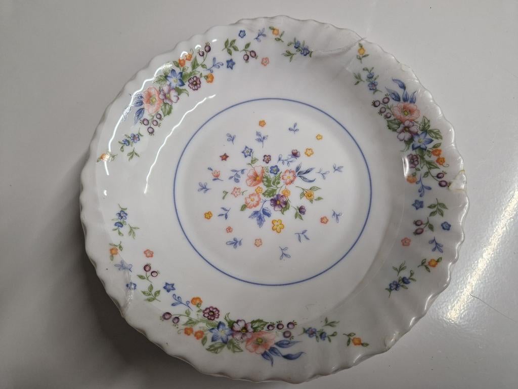 VINTAGE SOEP/PASTABORD ARCOPAL FRANCE SERIE VICTORIA, Ophalen