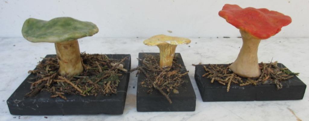 antieke modellen paddestoelen, kleine modellen, Antiek en Kunst, Verzenden