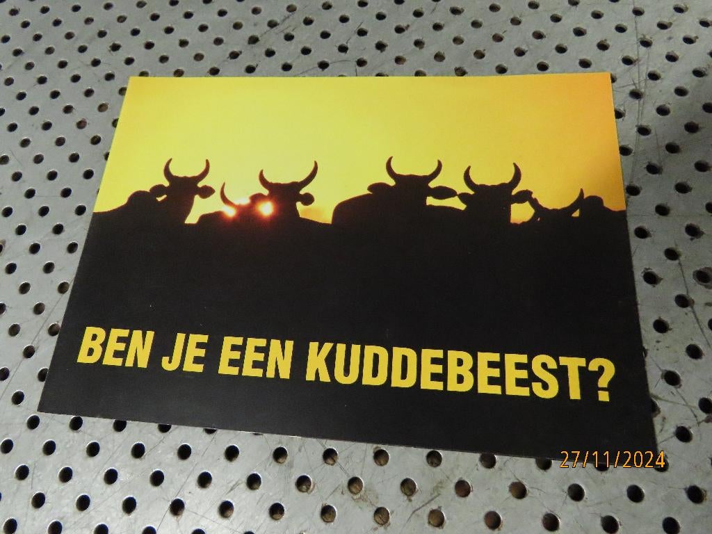 Folder - Reclame Buell American Motorcycles o.a. Ulysses & F, Boeken, Motoren, Nieuw, Merk of Model, Ophalen of Verzenden